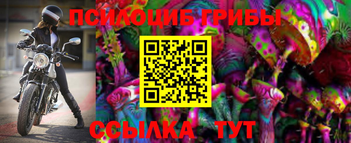 Белгород  как найти   Вход с VPN  Галлюциногенные грибы прущие грибы 
