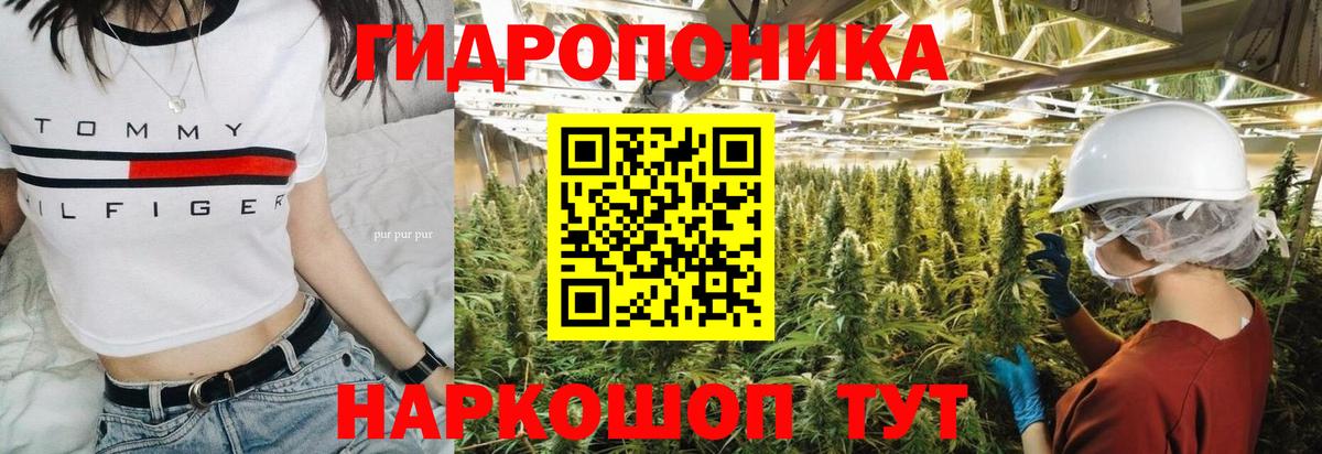 Конопля SATIVA & INDICA  Шишки марихуана семена  Белгород  Бошки марихуана White Widow  Вход с VPN 